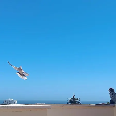 Benal-torre Sunny Terrace 公寓 托雷莫利诺斯
